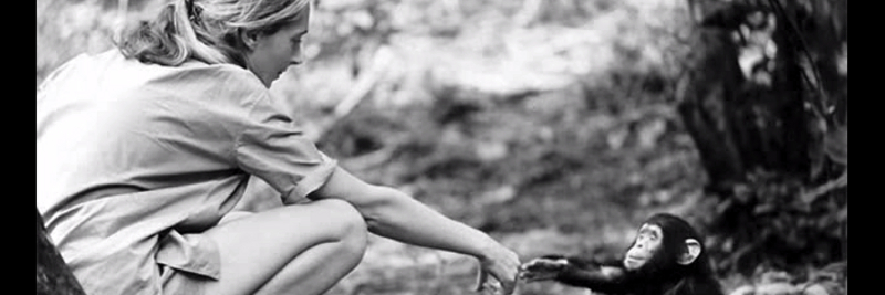 13 Jane Goodall Facts for Kids