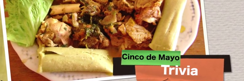 14 Cinco de Mayo Facts for Kids