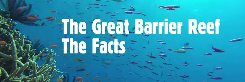 7 Great Barrier Reef Facts for Kids