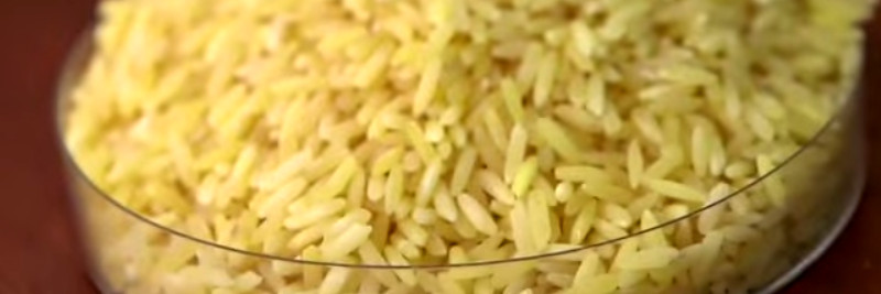 7 Impressive Pros and Cons of Golden Rice